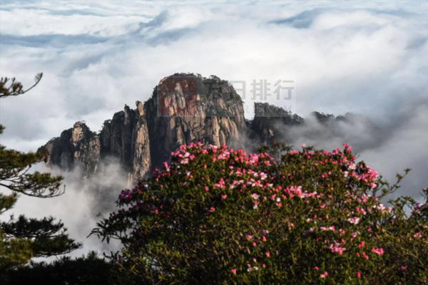 黄山附近免费旅游景点 黄山附近免费旅游景点大全