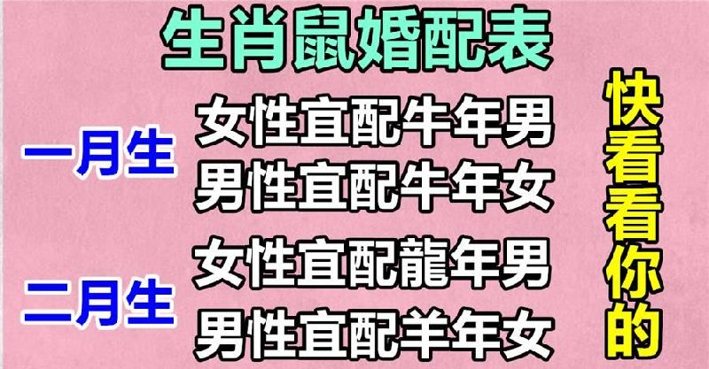 属马和属鼠的相配吗 属马和属鼠的相配吗婚姻好吗