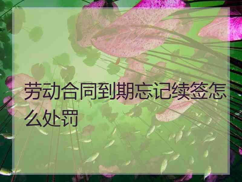 合同3年到期公司不续签 