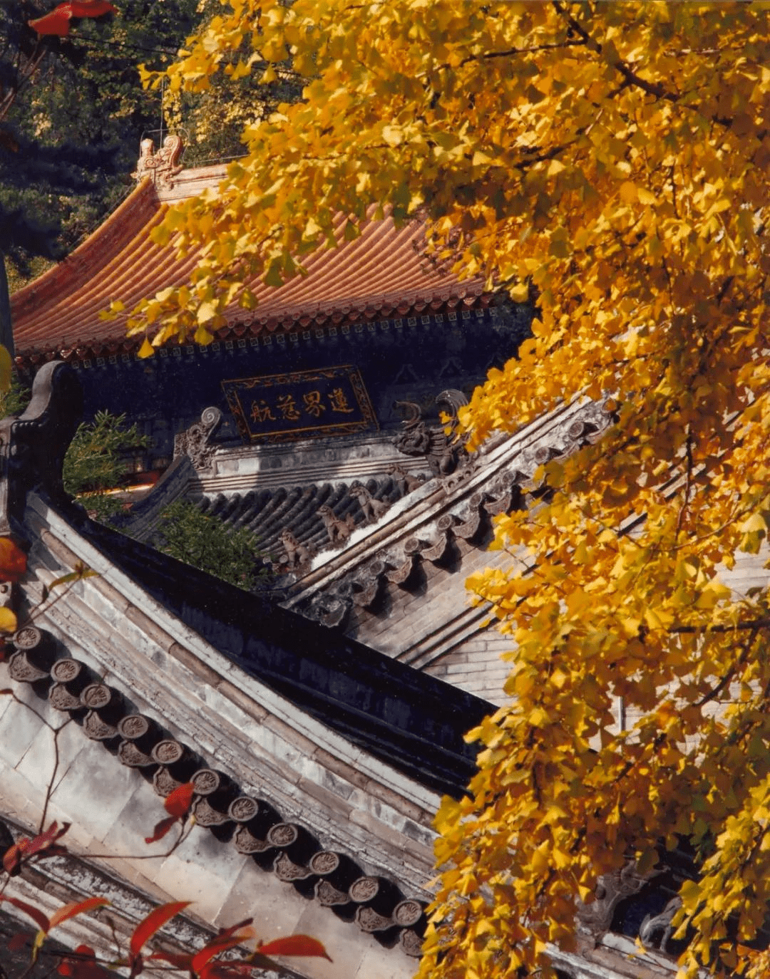 京西潭柘寺未解之谜 先有潭柘寺后有北京城的传说