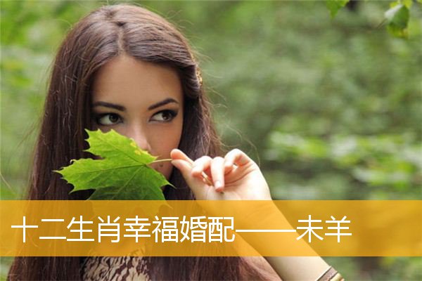 属羊人的婚姻与命运 属羊人的命运 婚姻 一生概况