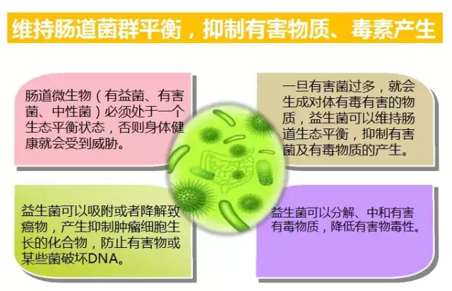 肠道益生菌有哪些 调理新生儿肠道益生菌有哪些