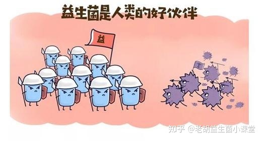 益生菌服用过量会怎样 益生菌服用过量会怎样呢