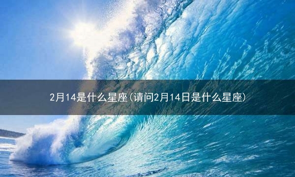 阴历2月2是什么星座 阳历2月2是什么星座的