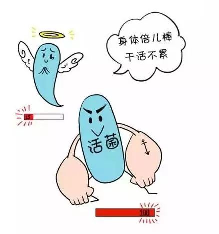 刚怀孕能吃益生菌吗 刚怀孕可以喝益生菌吗?