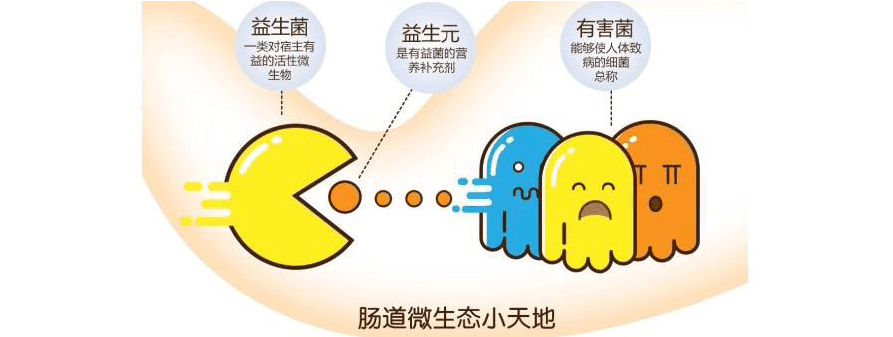 宝宝益生菌的作用与功效 宝宝益生菌的作用与功效哪个牌子好