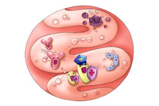 孩子吃益生菌 孩子吃益生菌拉肚子怎么回事