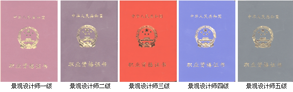 设计师证 设计师证明怎么用啊光夜