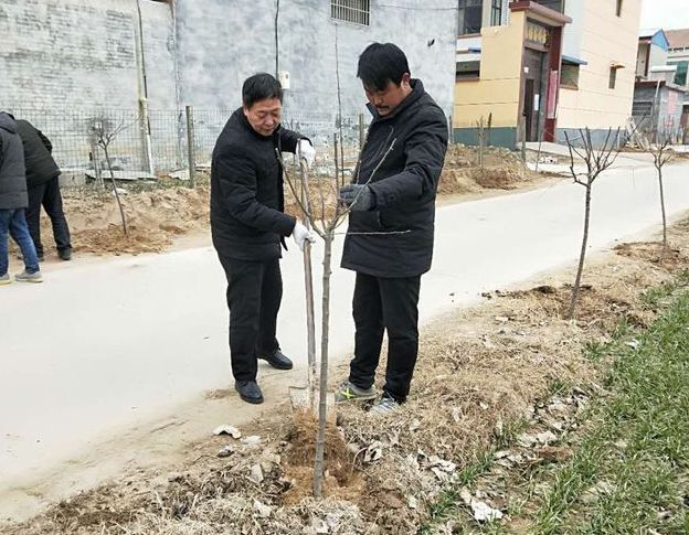 原阳县路寨乡刑事案件 原阳县阳阿乡梁寨村案件