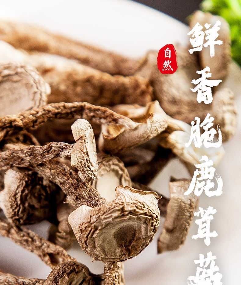 鹿茸菇产地 干鹿茸菇图片