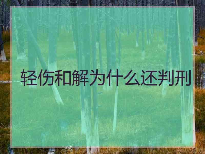 轻伤刑事案件流程 轻伤刑事案件流程图