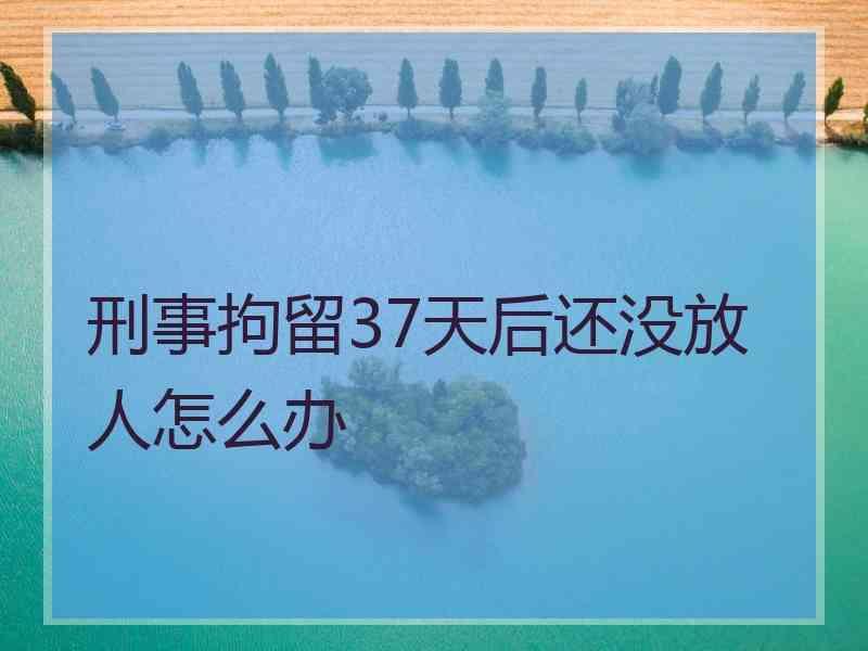 刑事拘留37天后的程序 37天刑事拘留无罪释放流程