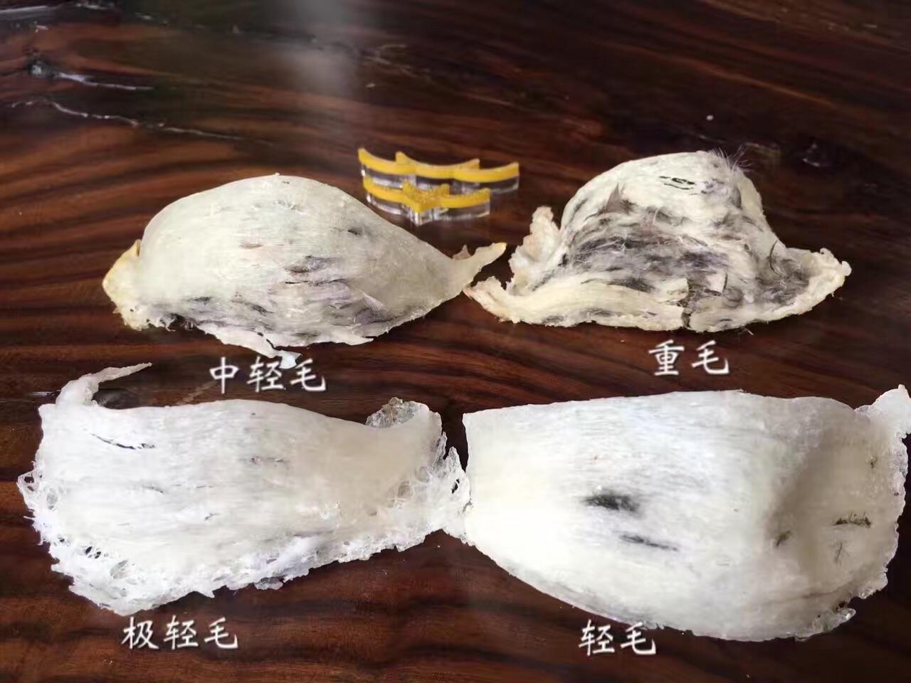 燕窝的原料 燕窝什么样的好