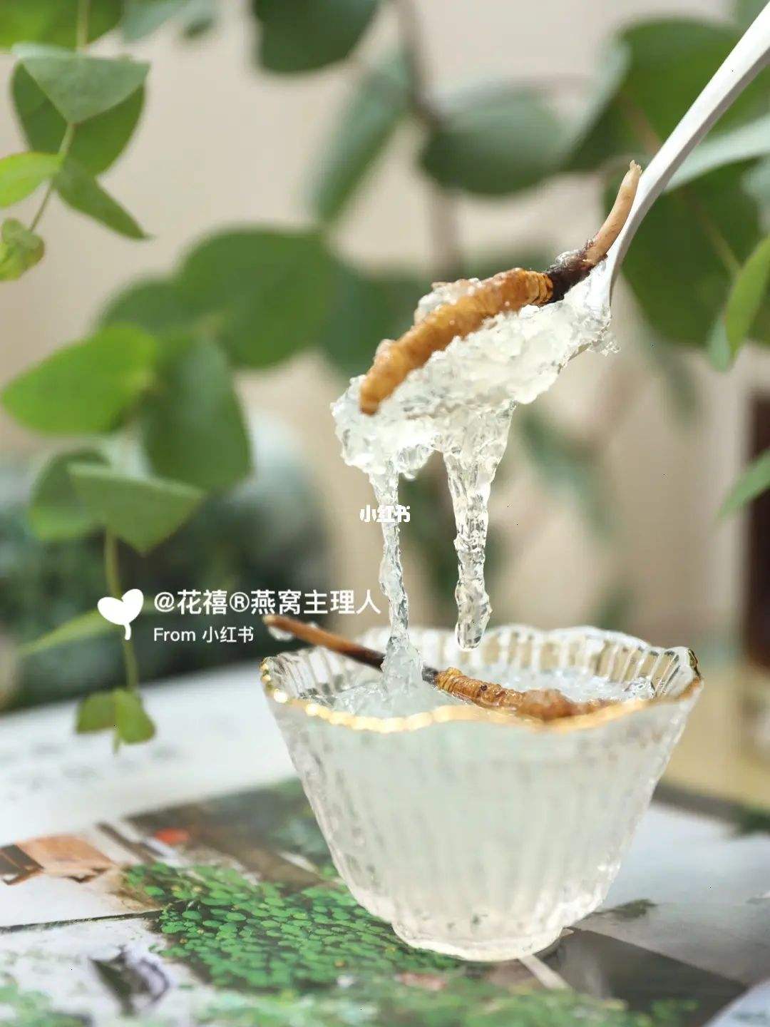 冬虫夏草燕窝 冬虫夏草和燕窝一起吃可以吗