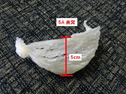 燕窝产地有哪些地方 燕窝产地有哪些地方可以吃