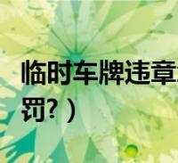 市内临时牌照出省处罚 市内临时牌照出省处罚多少钱