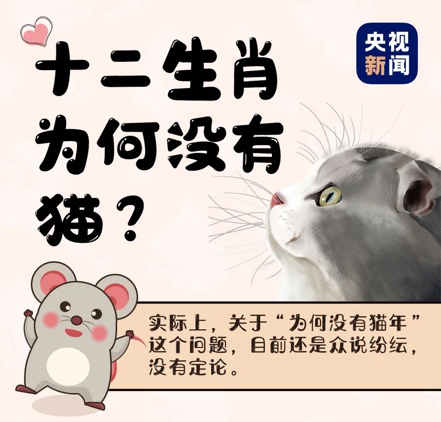 生肖兔与生肖猫 生肖兔与生肖猫相克吗