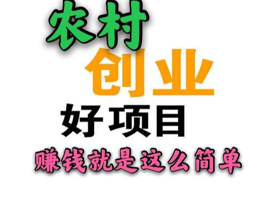 在家做小本生意怎么样 在家做小本生意怎么样赚钱