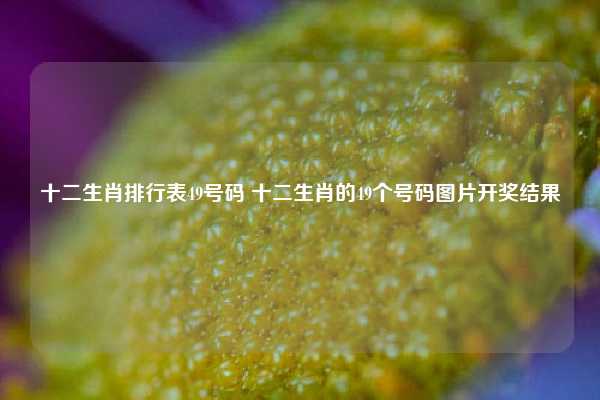 十二生肖排行表49号码 十二生肖的49个号码图片开奖结果