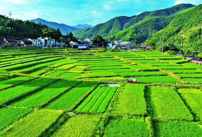 大地“调色盘”