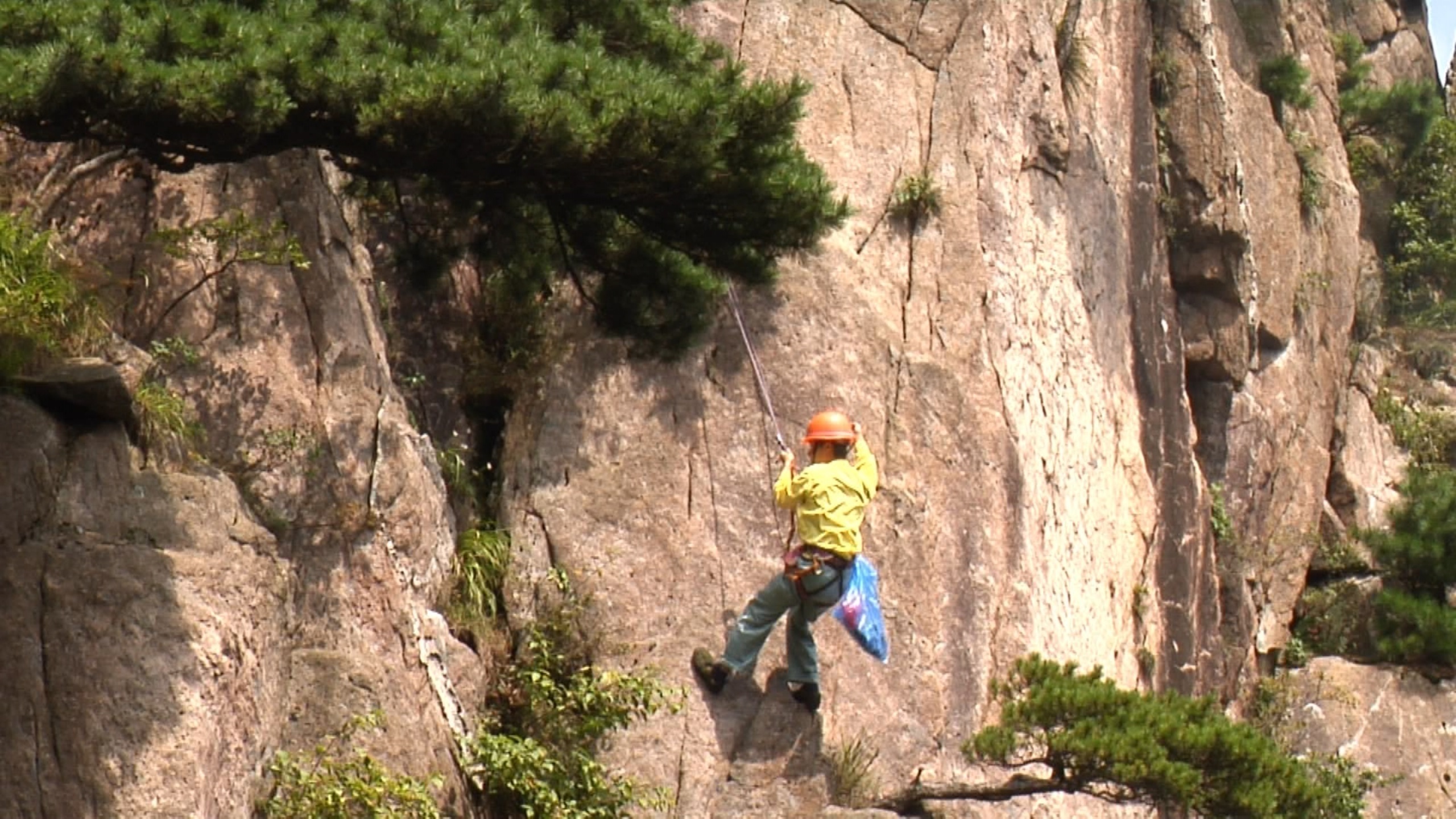 收到总书记回信的黄山环卫工李培生：22年“飞檐走壁”清洁环境