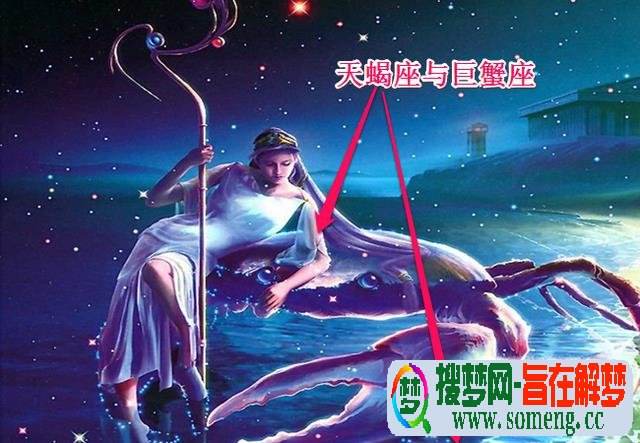 巨蟹男配什么星座最配(巨蟹和什么星座男最配)