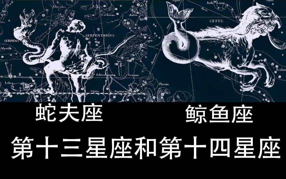 第14个星座是什么样(有第14个星座吗?)