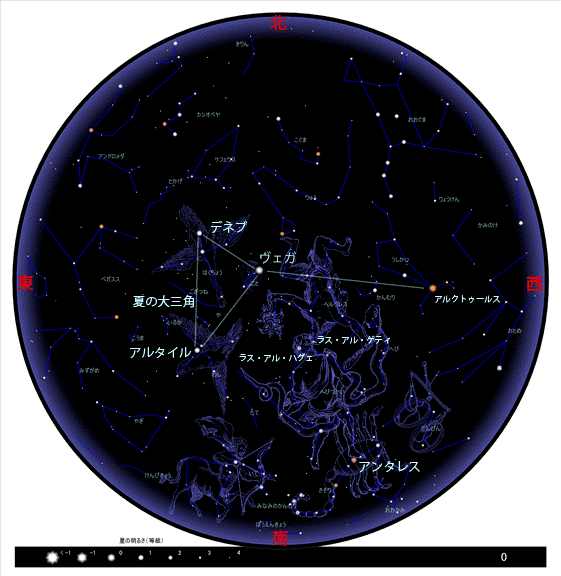 夏天天空中有哪些星座(夏季天空星座)