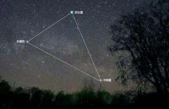 牛郎星什么星座(牛郎织女的星座是什么星座)