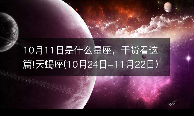 11日11月日是什么星座(11月11日的星座是什么)