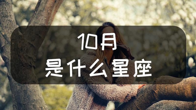 十月18是什么星座(10月18星座是什么星座)