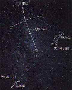 织女星属于哪个星座(织女星属于哪一星座)