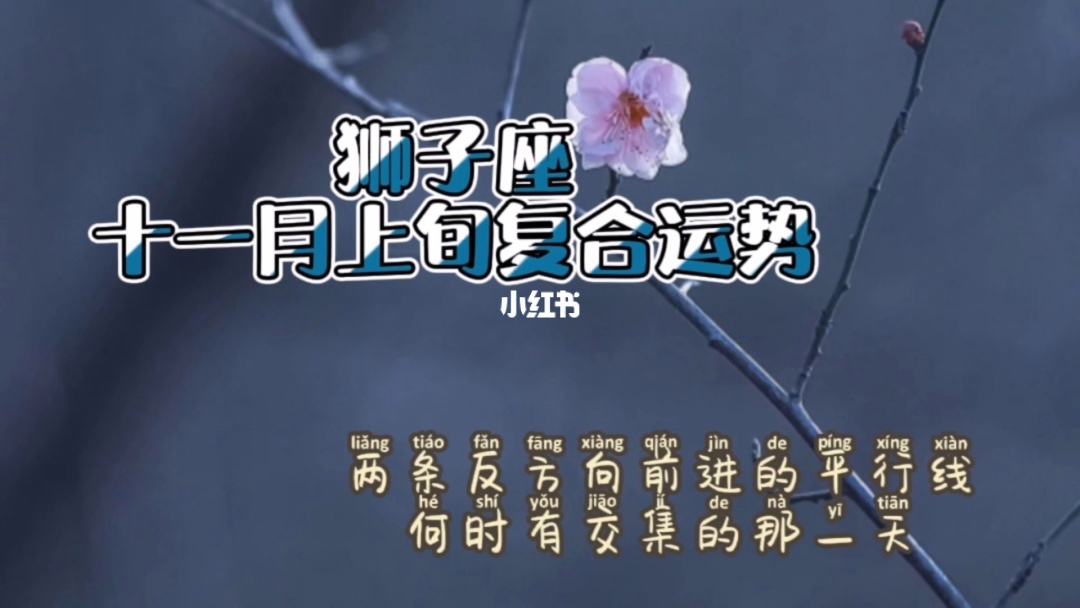 狮子座今日运势11月运势(狮子座今日运势11月运势查询)