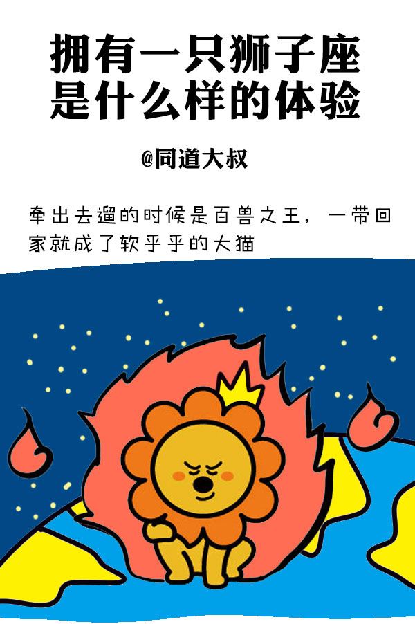 狮子座今日运势星座座(狮子座今日运势星座运势查询)