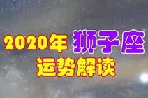 狮子座生肖马今日运势查询的简单介绍