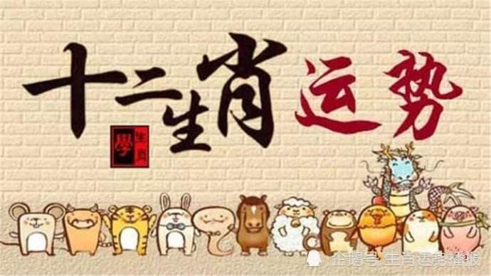 生肖鼠12月9日运势好吗(生肖鼠12月9日运势好吗为什么)