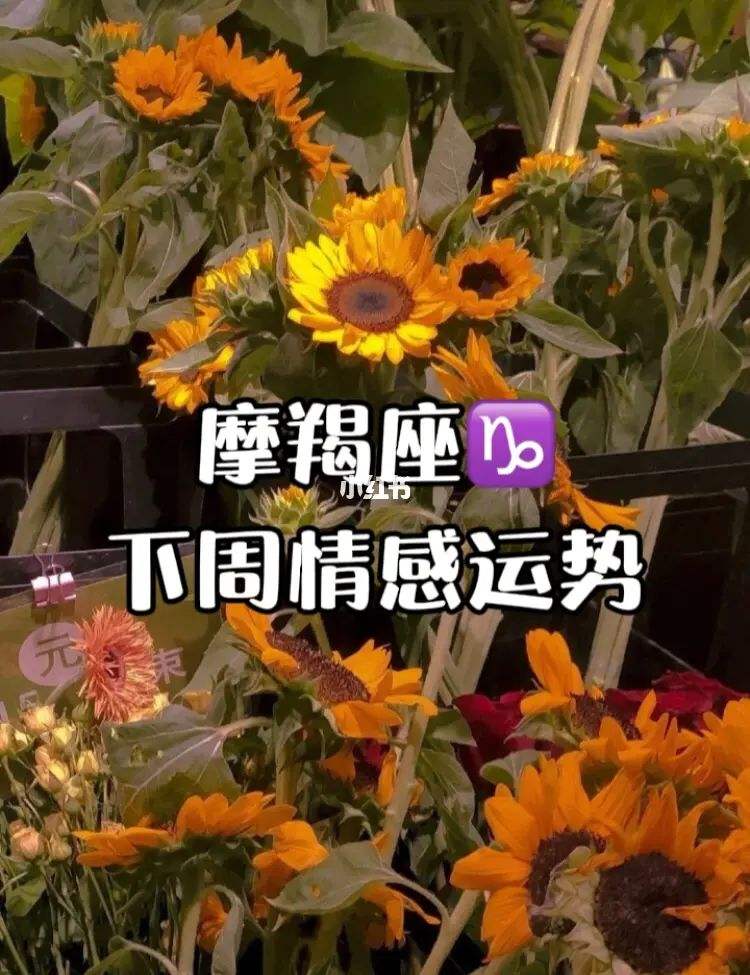 抖音摩羯座今日运势(摩羯座的运势今日运势)