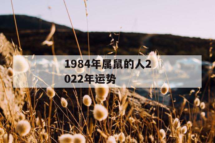 运势生肖鼠1984(生肖鼠1984年一生运势)