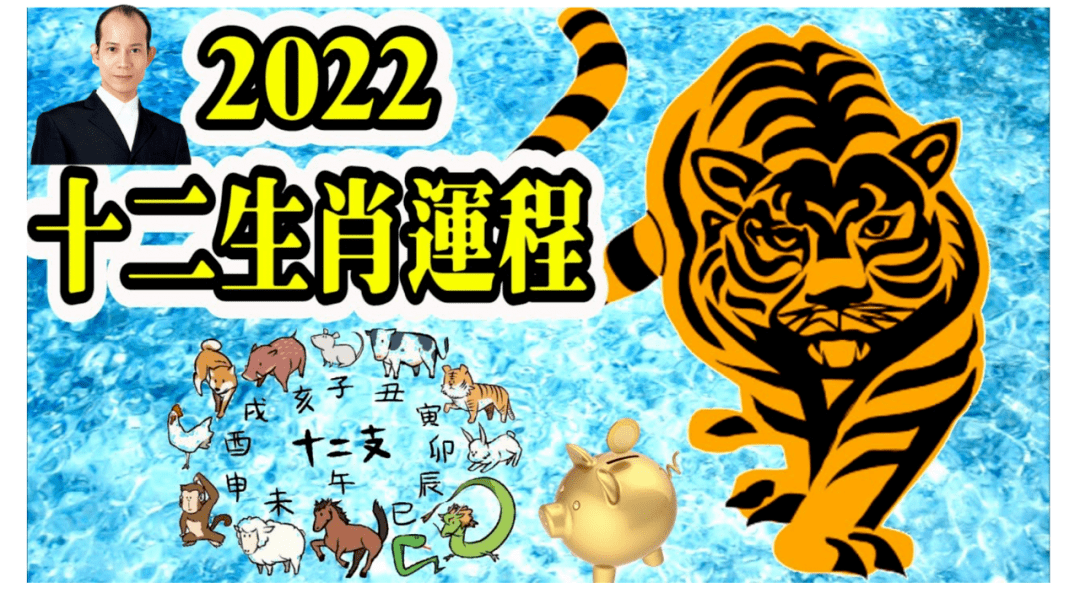 生肖鼠2022虎年运势(生肖鼠2022虎年运势及运程)