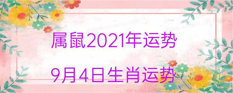 生肖2021年全年运势鼠(2021年生肖鼠全年运势详解)