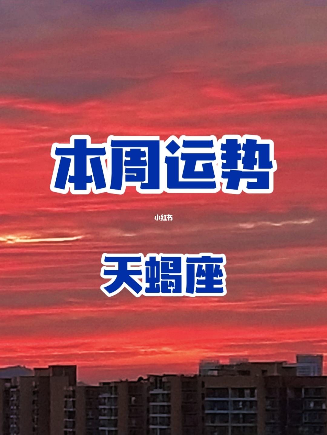 天蝎座10今日运势查询(天蝎座今日运势查询新浪网)