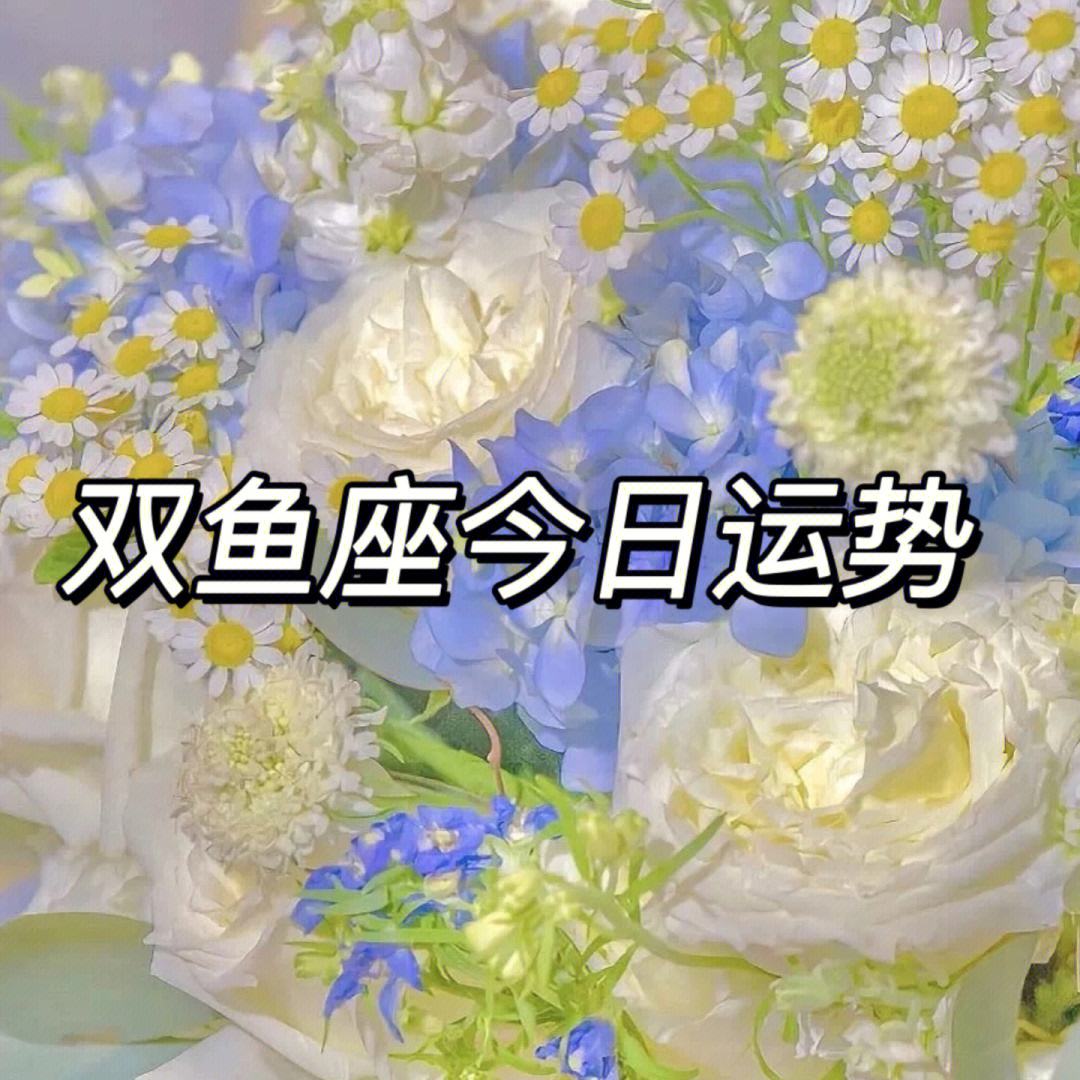 双鱼座今日运势12月26(双鱼座今日运势12月26号)