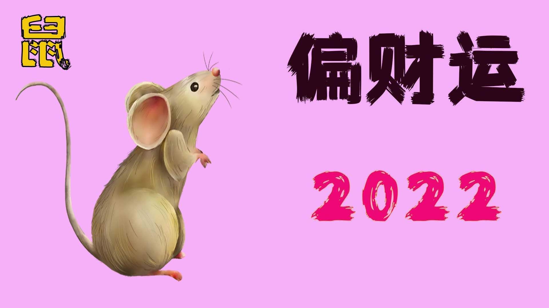 运势生肖鼠2022(2022年运程生肖鼠)