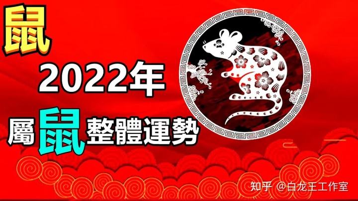 8月26日生肖鼠运势(8月26日生肖鼠运势如何)