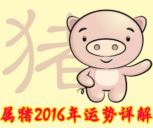 狮子座属猪女今日运势(狮子座猪2019年每月运势)