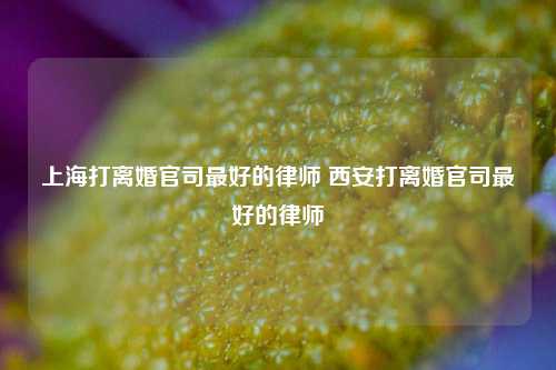 上海打离婚官司最好的律师 西安打离婚官司最好的律师