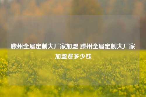 滕州全屋定制大厂家加盟 滕州全屋定制大厂家加盟费多少钱