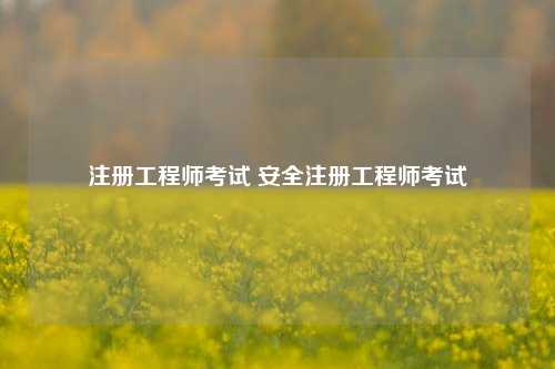 注册工程师考试 安全注册工程师考试