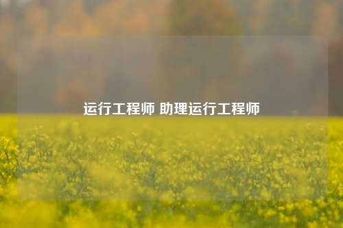 运行工程师 助理运行工程师