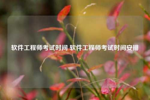 软件工程师考试时间 软件工程师考试时间安排